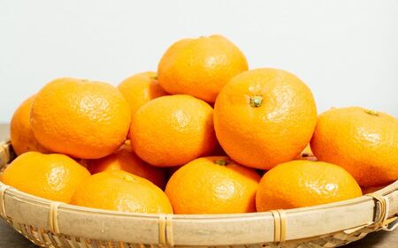 [家庭用] 森本農園の手選別 みかん 約1.5kg 和歌山県産 2S~2Lサイズ混合 [2025年11月上旬〜2026年2月中旬ごろに順次発送][mrmt006]