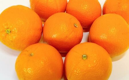 [家庭用] 森本農園の手選別 ネーブルオレンジ 約1.5kg 和歌山県産 サイズ混合 [2026年1月上旬〜2月中旬頃に順次発送][mrmt016]