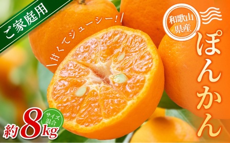 yƒpz X{_̎I |J 8kg a̎RY TCY y2026N1{`2{ɏzymrmt044z