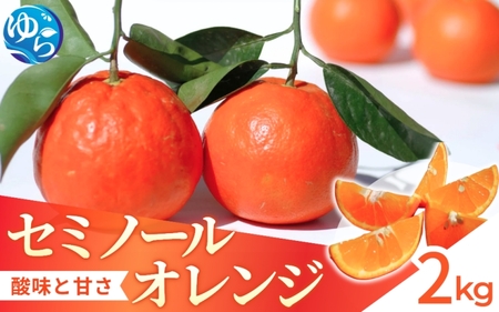 [来シーズン先行予約]セミノール 2kg ※2026年4月上中旬〜順次発送 / みかん 晩柑 人気 柑橘 スマイルカット 蜜柑 フルーツ 果物 くだもの 食品 人気 おすすめ 送料無料 産地直送 和歌山県 由良町[kzmn023]