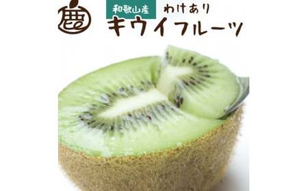 [11月より発送]家庭用キウイフルーツ2.5kg+250g(傷み補償分)[わけあり・訳あり・扁平果] ※北海道・沖縄・離島への配送不可 / 和歌山 フルーツ 果物 キウイ キウイフルーツ おすすめ[ikd137C]