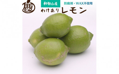 [先行予約]家庭用 黒潮レモン 1kg+250g(傷み補償分)[和歌山有田産][防腐剤・WAX不使用、安心の国産レモン][わけあり・訳ありレモン] ※北海道・沖縄・離島への配送不可 / フルーツ くだもの 果物 柑橘 和歌山 レモン果汁[ikd135B]