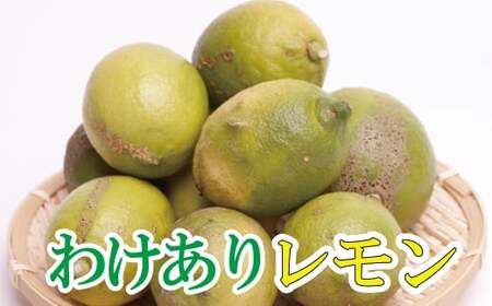 [先行予約]家庭用 黒潮レモン 5kg+250g(傷み補償分)[和歌山有田産][防腐剤・WAX不使用、安心の国産レモン][わけあり・訳ありレモン]/ くだもの 果物 フルーツ 柑橘 レモン レモン果汁[ikd031C]