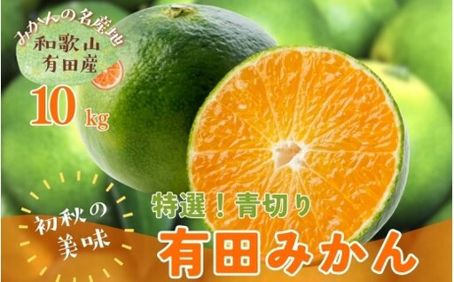 【先行予約】 初秋の美味 農家直送 特選 ! 青切り 有田みかん 10kg＋200g(痛み補償分) ※2026年9月中旬～10月上旬に順次発送 ※北海道・沖縄・離島配送不可 【ard001-p-10B】