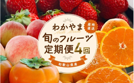 わかやま旬のフルーツ定期便[S] 全4回 ※北海道・沖縄・離島への配送不可(配送日時指定不可) / ミカン 有田みかん まりひめ いちご 桃 フルーツ 果物 柿 和歌山[ard-tkb910]