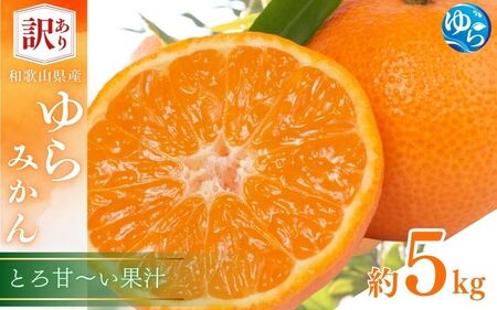 訳あり ゆら みかん 5kg (温州みかん)※2025年11月下旬〜順次発送[fmlb089-12]