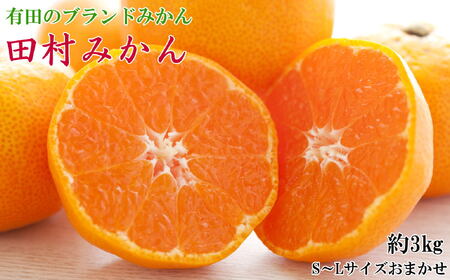 yuh݂zc݂3kg(S.M.LTCY܂EGi)2025N11{`2025N12{ɏytecj1034z
