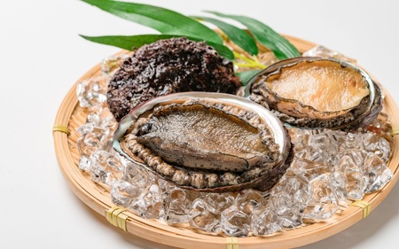 �V�R���A���r1kg�I�y�f���苙�t�����z�yskmn007�z