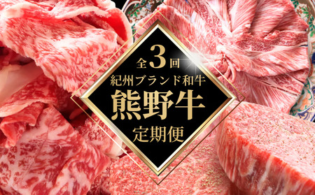 [全3回定期便]高級和牛 熊野牛 A4以上 (霜降りローススライス・霜降り赤身こま切れ・ヒレシャトーブリアンステーキ&霜降りサーロインステーキ) [tkb312]