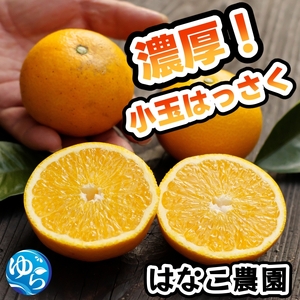 [ふるさと納税] 濃厚! 訳あり 小玉 八朔 / はっさく 甘い 家庭用 柑橘 晩柑 和歌山 / 5kg ※2026年2月下旬〜3月下旬頃に順次発送予定[hnk021-s-5]