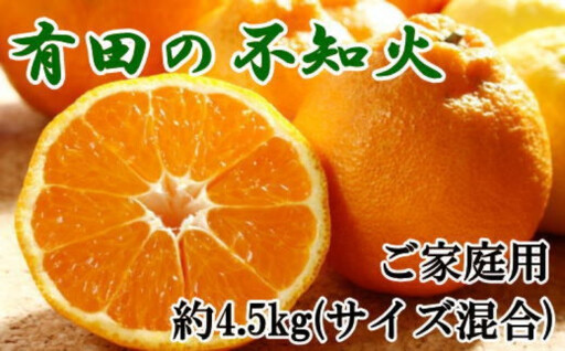[濃厚]有田の不知火約4.5kgご家庭用向け(サイズ混合)※2027年2月下旬〜2027年3月下旬頃発送予定 / みかん 有田みかん 柑橘 不知火 和歌山 ミカン オレンジ[tec010-c-4d5]