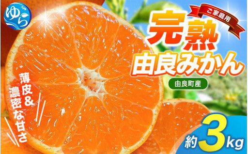 薄皮で濃い甘さ!完熟由良みかん[ご家庭用]3kg(混サイズ)和歌山県由良産※2026年11月下旬頃から12月下旬頃に順次発送予定/ 柑橘 ミカン 蜜柑 甘い 由良町 フルーツ 果物 くだもの 食品 人気 おすすめ 産地直送 由良町[ktym004-c-3]