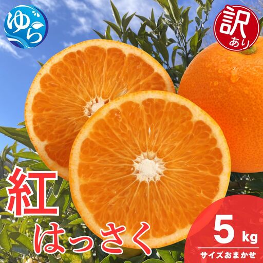 [訳あり]和歌山県産 紅 はっさく(サイズおまかせ) 5kg / 八朔 ハッサク 柑橘 果物 和歌山 ※2027年2月中旬〜3月中旬に順次発送 ※北海道・沖縄・離島配送不可 [eiw021-beni-c-5]