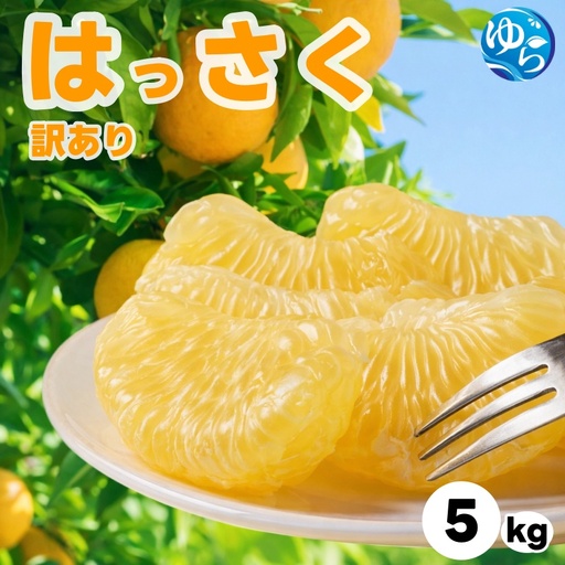 和歌山県産 はっさく 訳あり 5kg サイズおまかせ / 八朔 ハッサク 柑橘 果物 和歌山 ※2027年2月中旬〜3月中旬に順次発送予定 ※北海道・沖縄・離島配送不可 [eiw021-c-5]
