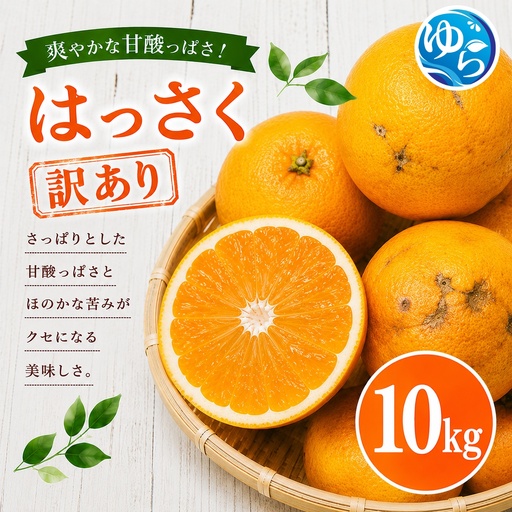 和歌山県産 はっさく 訳あり 10kg  サイズおまかせ / 八朔 ハッサク 柑橘 果物 和歌山 ※2027年2月中旬～3月中旬に順次発送予定 ※北海道・沖縄・離島配送不可 【eiw021-c-10】