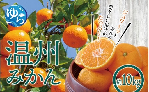 温州みかん 10kg ※2026年12月上旬〜12月下旬頃に順次発送予定(お届け日指定不可) / 温州 密柑 JA 糖度 甘い 光センサー ゆらみかん 由良町 ミカン 柑橘 期間限定 和歌山県産[jahd004-r-10]