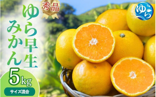 秀品 ゆら早生みかん 5kg / みかん ミカン 和歌山県 柑橘 早生 甘い 蜜柑 フルーツ 果物 くだもの 食品 産地直送 由良町 ゆら早生 早生みかん※2026年10月上旬〜10月下旬頃に順次発送予定 [myvi003-p-5]