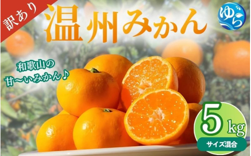＼訳あり/ 温州みかん 5kg / みかん ミカン 和歌山県 柑橘 早生 甘い 蜜柑 フルーツ 果物 くだもの 食品 産地直送 由良町 ご家庭用 温州 訳ありみかん ※2026年10月上旬〜10月下旬頃に順次発送予定 [myvi004-c-5]