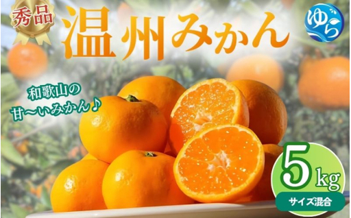 秀品 温州みかん 5kg / みかん ミカン 和歌山県 柑橘 甘い 蜜柑 フルーツ 果物 くだもの 食品 産地直送 由良町 温州 みかん ※ 2026年11月中旬〜1月上旬頃に順次発送予定[myvi004-p-5]