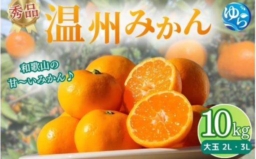 秀品 温州みかん 10kg ≪大玉≫ / みかん ミカン 和歌山県 柑橘 甘い 蜜柑 フルーツ 果物 くだもの 食品 産地直送 由良町 温州 みかん ※2026年11月中旬〜1月上旬頃に順次発送予定[myvi004-p-l]
