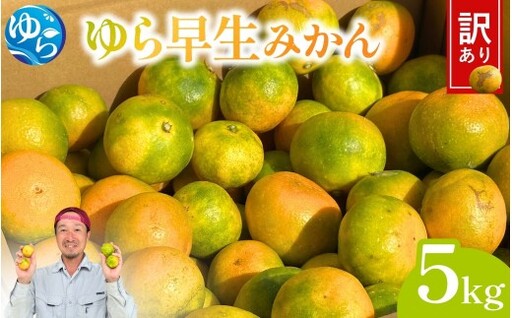 ＼訳あり/ ゆら早生みかん 5kg / みかん ミカン 和歌山県 柑橘 早生 甘い 蜜柑 フルーツ 果物 くだもの 食品 産地直送 由良町 ご家庭用 ゆら早生 早生 ※2026年10月上旬〜10月下旬頃に順次発送予定[kwgc003-c-5]