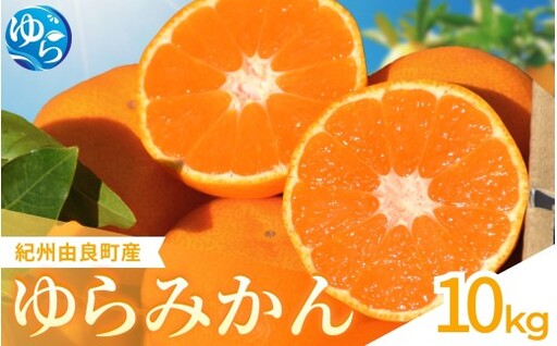  ゆらみかん 10kg / 温州みかん 和歌山県 柑橘 みかん 甘い 蜜柑 フルーツ 果物 くだもの 食品 人気   おすすめ 送料無料 産地直送 由良町 ※2026年11月下旬頃から12月上旬頃に順次発送予定【kzmn004-r-10】