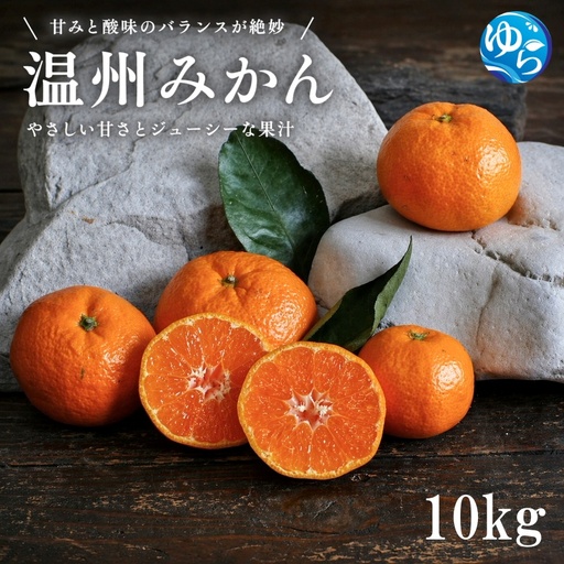温州みかん 10kg サイズ混合 / 温州 みかん 柑橘 由良町 果物 フルーツ 小玉 大玉 サイズ混合 くだもの 産地直送 和歌山 ※2026年11月中旬から12月下旬頃に順次発送[ iism004-p-10]