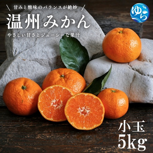 温州みかん 5kg 小玉 サイズ混合 / 温州 みかん 柑橘 由良町 果物 フルーツ 小玉 大玉 サイズ混合 くだもの 産地直送 和歌山 ※2026年11月中旬から12月下旬頃に順次発送[ism004-s-5]