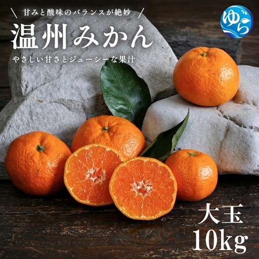 温州みかん 10kg 大玉 サイズ混合 / 温州 みかん 柑橘 由良町 果物 フルーツ 小玉 大玉 サイズ混合 くだもの 産地直送 和歌山 ※2026年11月中旬から12月下旬頃に順次発送[ism004-l-10]