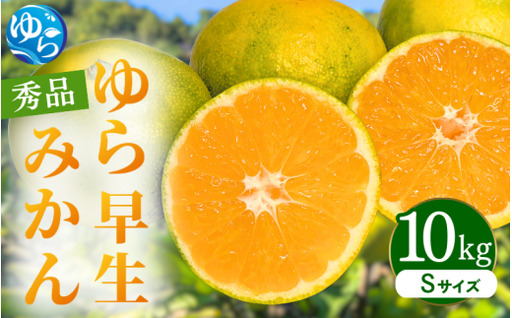 ゆら早生みかん 秀品 Sサイズ 10kg 贈答用※2026年10月上旬～11月中旬頃に順次発送予定 / ゆら早生 柑橘 極早生 フルーツ 果物 くだもの 食品 人気 おすすめ 送料無料 由良町 【ksmt003-r-s-10】
