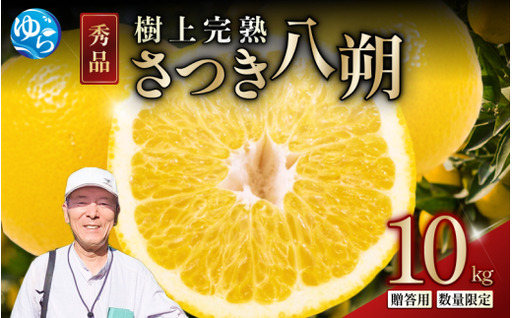 樹上 完熟 さつき 八朔 和歌山 由良産 秀品 10kg 贈答用 / はっさく 柑橘 フルーツ 果物 ※2027年4月上旬頃〜4月中旬頃に順次発送予定[ksmt022-r-10]
