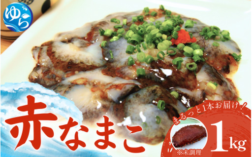活 なまこ 赤なまこ1kg  / ナマコ 海の幸 由良町 新鮮 刺身 珍味 産地直送 海産物 特産 和歌山県 ※2026年12月中旬～3月下旬頃に順次発送予定【skmn224-aka-1】