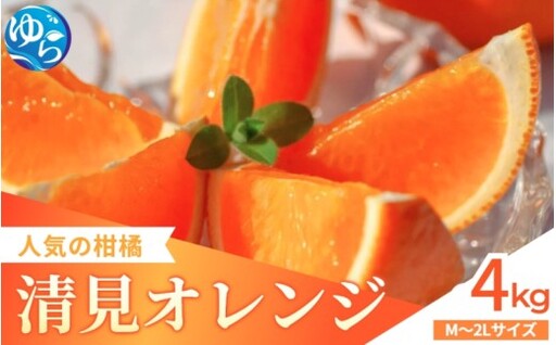 家庭用 清見オレンジ 4kg / 清見 みかん 晩柑 人気 柑橘  蜜柑 フルーツ 果物 くだもの 食品 人気 送料無料 産地直送 和歌山県 由良町  ※2月下旬～3月下旬頃に順次発送予定【kzmn011-c-4】