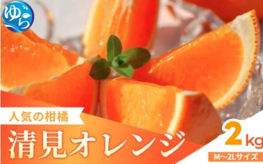 家庭用 清見オレンジ 2kg / 清見 みかん 晩柑 人気 柑橘 蜜柑 フルーツ 果物 食品 人気 送料無料 産地直送 和歌山県 由良町 ※2月下旬〜3月下旬頃に順次発送予定[kzmn011-c-2]