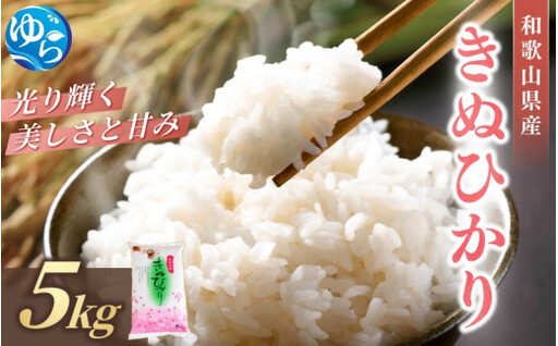 和歌山県産 キヌヒカリ 5kg（2025年産） / お米 きぬひかり 白米 由良町 令和7年 人気 おすすめ ※2025年9月中旬より順次発送予定【sml400-kinu-5D】