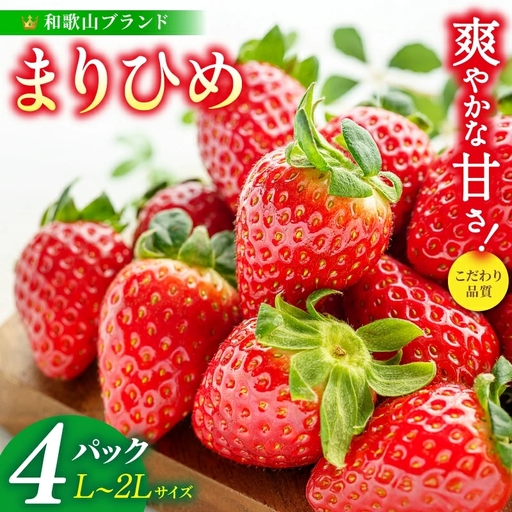 まりひめ イチゴ L～２L 12粒～15粒×4パック / いちご 果物 甘い 和歌山 ※2027年1月中旬～3月下旬頃発送予定【先行販売】※離島への配送不可【kgr500-250-4A】