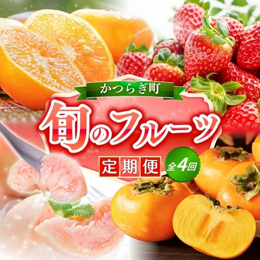 [定期便4回]旬の フルーツ定期便 / はれひめ みかん いちご まりひめ 桃 秀品 柿 種無し フルーツ ふるーつ 詰め合わせ 果物 春 夏 秋 冬 産地直送 ※離島への配送不可[kgr530-4]