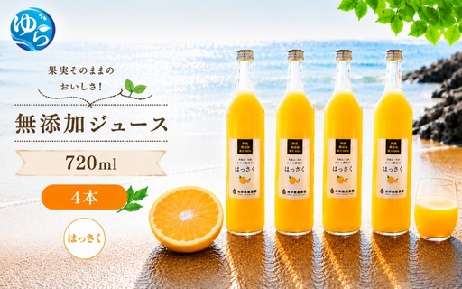 はっさく 100% ジュース / 八朔 ストレート 果汁 無添加 柑橘 和歌山 14000円 720ml ※北海道・沖縄・離島への配送不可 //drink [ikd100-has720-4]