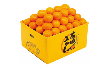 yԏGNznLc݂ 10kgi70j2025N12{菇 /  Lc ~J  v~A Gi t[c ʕ k a̎R Rǒystmr003z