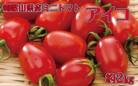 ［2027年1月出荷分］和歌山産ミニトマト「アイコトマト」約2kg（S・Mサイズおまかせ）［TM109］【tec100A-1】