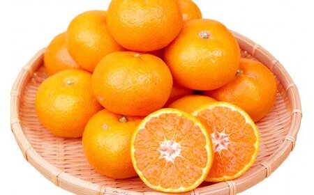 赤秀品 紀州有田産濃厚完熟温州みかん 3kg(MサイズまたはSサイズ)[2026年11月下旬以降発送][先行予約][UT12][uot713]