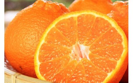 完熟紀州デコ(不知火) 約3kg 果肉プリプリ♪[2026年2月下旬頃?2026年3月中旬頃発送][先行予約][UT42][uot706A]