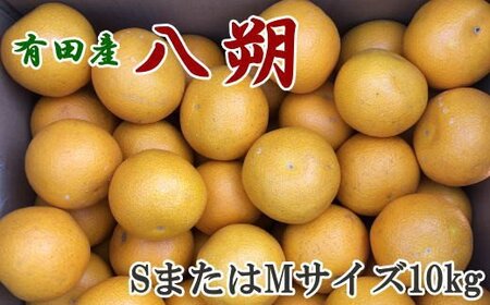 [手選果] 有田 産 の 八朔 10kg (SまたはMサイズいずれかお届け)※2027年1月下旬〜2月下旬頃発送予定 [tec845A]