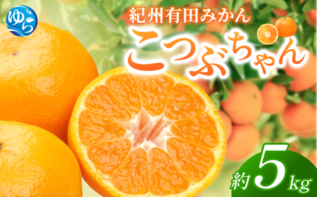 �I�B�L�c�݂���  ���Ԃ���� ��5kg�ysml117A�z