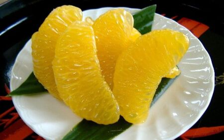 和歌山由良町産さつきはっさく 約10kg 赤秀・青秀サイズ混合 [訳あり ご家庭用 キズあり] ※2026年3月下旬より順次発送[sml122B]