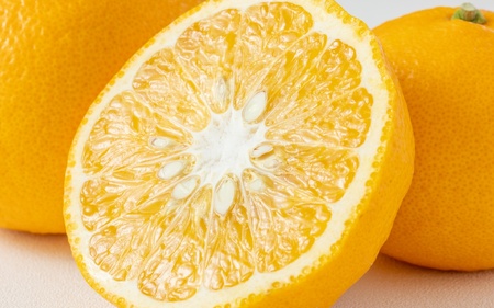 [減農薬栽培]ゆら甘夏10kg Lサイズ以上 [先行予約]※2026年4月上旬頃〜2026年4月下旬頃に順次発送予定 / あまなつ 柑橘 由良町 果物 フルーツ 産地直送 お取り寄せ 和歌山[ecen003]