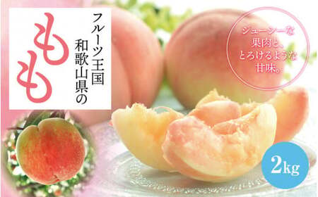 フルーツ王国 和歌山 の 桃 約2kg [2025年6月中旬から7月下旬発送] 桃桃桃桃 もも モモ モモ 桃 momo フルーツ くだもの 果物 甘い 国産 デザート スイーツ 答用 贈り物 桃 桃 桃 [ard048C]