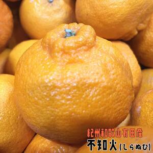 有田育ちの濃厚不知火(ご家庭用) 約7.5kg［先行予約］［MS42］