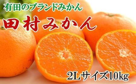 みかん[ブランドみかん]田村みかん約10kg(2Lサイズ)★2025年11月中旬頃より順次発送[TM108]
