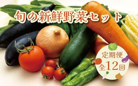 [毎月お届け全12回]旬の新鮮野菜セットA(たっぷり13種類以上)